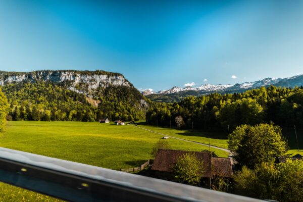 Swiss Alps Drive 2026